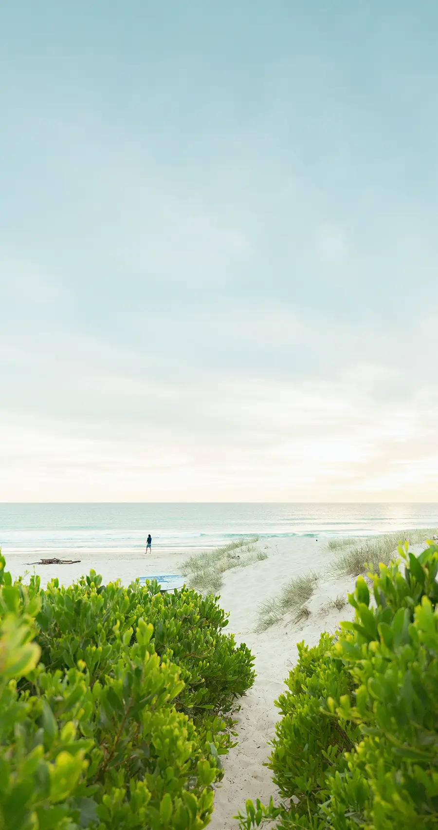 Brunswick Heads main beach near Bayside, pristine beachside and creekside wallum country